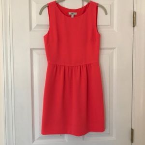 JCrew Camille Dress